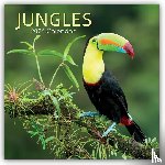 Gifted Stationery Co. Ltd - Jungles - Dschungel 2026 - 16-Monatskalender