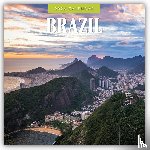 Red Robin - Brazil  2026 Square Wall Calendar