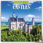 Red Robin - Castles 2026 Square Wall Calendar
