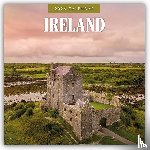 Red Robin - Ireland 2026 Square Wall Calendar