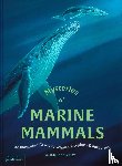 Delaunay, Amandine - Mysteries of Marine Mammals