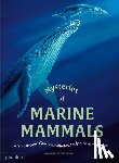 Delaunay, Amandine - Mysteries of Marine Mammals: An Illustrated Guide to Whales, Dolphins, and Porpoises