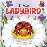 Autumn Publishing - Little Ladybird
