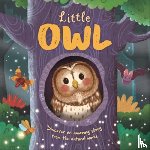 Autumn Publishing - Little Owl