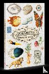 Wilmshurst, Grace - The Curious Collections Sticker Book
