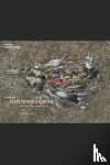 MacDonald, Patricia - Surveying the Anthropocene: