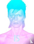  - David Bowie Is