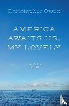 Owen, Christopher - America Awaits Us, My Lovely, and Other Stories