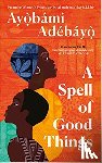 Adebayo, Ayobami - A Spell of Good Things