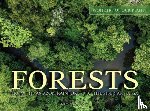 Connolly, Kieron - Forests
