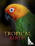 Jackson, Tom - Tropical Birds