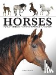 Hammond, Paula - Horses