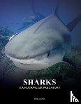 Jackson, Tom - Sharks and Underwater Predators