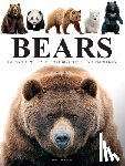 Jackson, Tom - Bears
