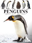 Jackson, Tom - Penguins