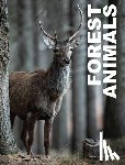 Photopoulos, Julianna - Forest Animals