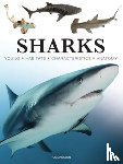Jackson, Tom - Sharks & Underwater Predators