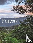 Connolly, Kieron - Forests