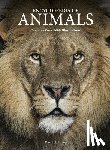 Alderton, David - Encyclopedia of Animals