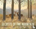 Walden, Libby - Secrets of the Mountain
