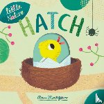 Otter, Isabel, Morgan, Pau - Hatch