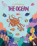 Cheeseman, Polly - Let's Explore! The Ocean
