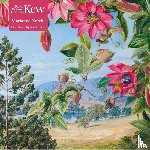  - Adult Jigsaw Puzzle Kew: Marianne North: View in the Brisbane Botanic Garden (500 pieces)