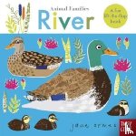  - Animal Families: River