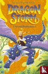Chisholm, Alastair - Dragon Storm: Erin and Rockhammer