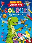  - Junior Art Bumper Colour By Numbers