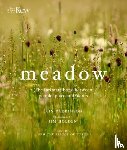 Parkinson, Iain - Meadow