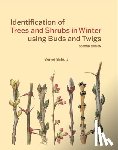Schulz, Bernd - Identification of Trees and Shrubs in Winter using Buds and Twigs