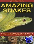 Taylor, Barbara - Exploring Nature: Amazing Snakes - an Exciting Insight into the Weird and Wonderful World of Snakes and How They Live, with 190 Pictures