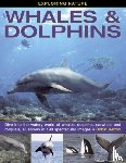 Kerrod, Robin - Exploring Nature: Whales & Dolphins