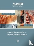Leong, Lawrence Y. C. - Disinfection of Wastewater Effluent—Comparison of Alternative Technologies
