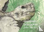 Pollock, David - A Galapagos Sketchbook