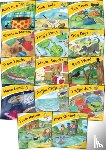 Wernham, Sara - Jolly Phonics Little Word Books