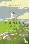Walling, Philip - Counting Sheep