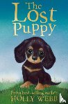 Webb, Holly - The Lost Puppy