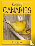 Keenan, Brian - Keeping Canaries