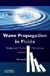Guinot, Vincent (University of Montpellier - Wave Propagation in Fluids