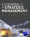 Pitt, Martyn R, Koufopoulos, Dimitrios - Essentials of Strategic Management