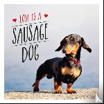 Ellis, Charlie - Love is a Sausage Dog