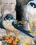 Batchelor, Tim (Assistant Curator, Tate Britain) - Birds in Art