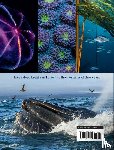 Honeyborne, James, Brownlow, Mark - Blue Planet II