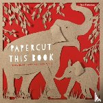 Paterson, Boo - Papercut This Book