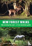 Walmsley, Andrew - New Forest Walks