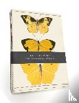 Bodleian Library - Butterfly Notebook Set