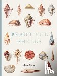 Carnall, Mark (B.Sc. (Hons) - Beautiful Shells