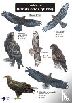 Norman, Simon, Hawk and Owl Trust - Guide to British Birds of Prey